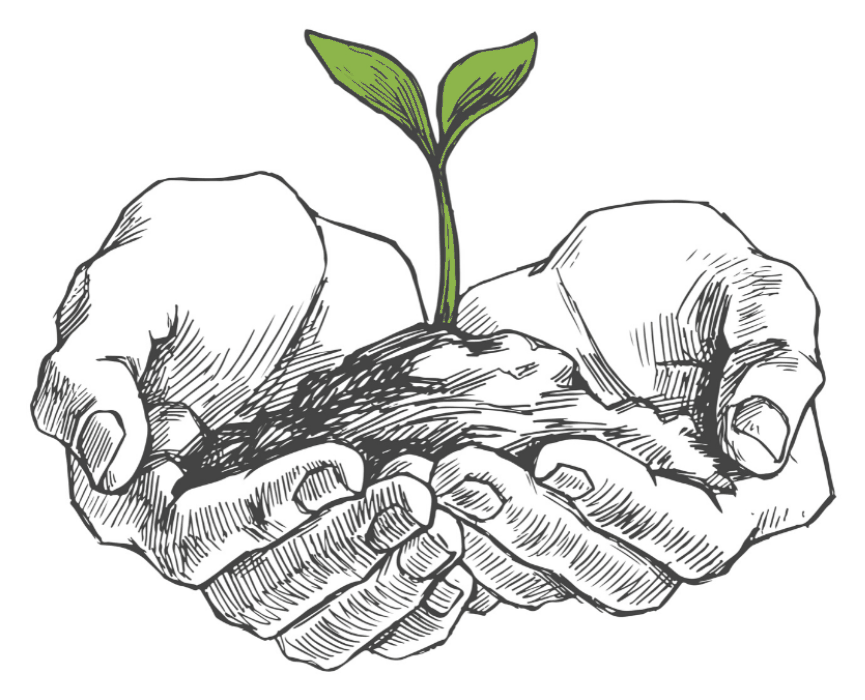 Hand-drawn illustration of two cupped hands holding soil with a green seedling growing from it.